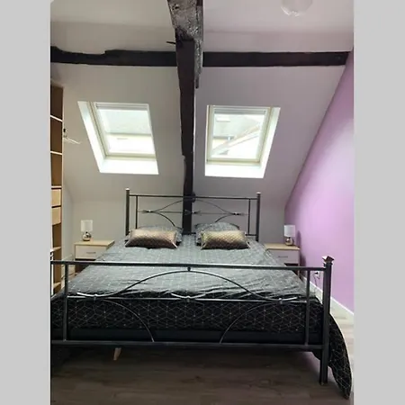 Joli Duplex Plein Centre V10