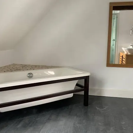 Joli Duplex Plein Centre V10